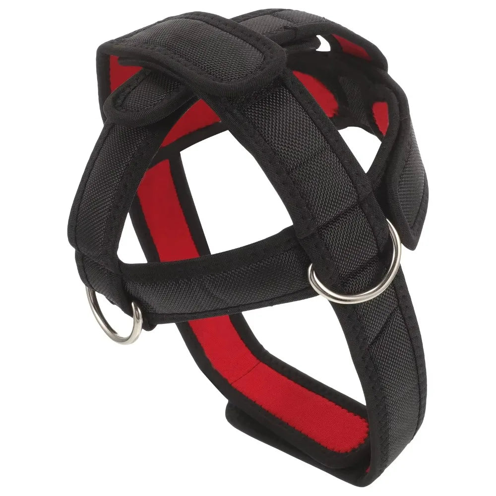 Nylon Webbing Head Training Harness Adjustable Weight Bearing Neck Muscle Trainer Fitness Equipment Cervical Stretch