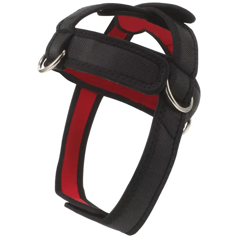 Nylon Webbing Head Training Harness Adjustable Weight Bearing Neck Muscle Trainer Fitness Equipment Cervical Stretch