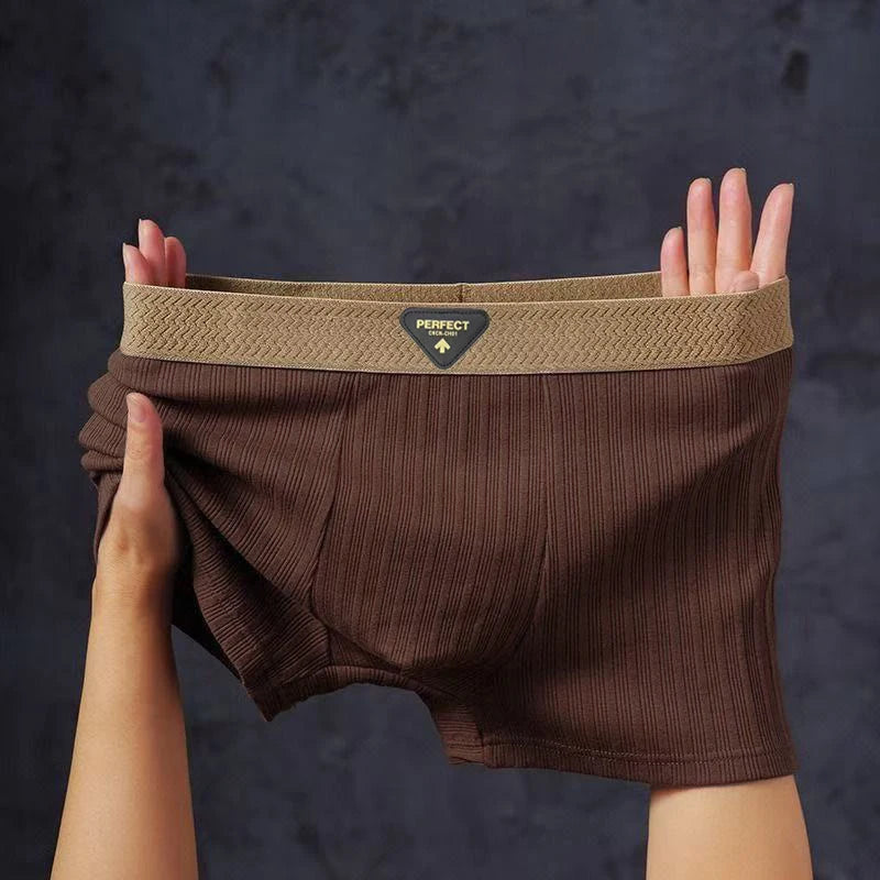 1/4pcs Pack Men Panties Cotton Underwear High Stretch Boxer Shorts Fashionable Sexy Men Underpant Plus Size L-4XL Breathable Men