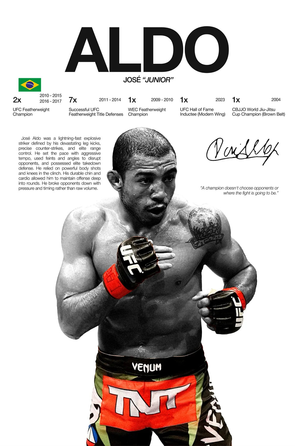 Modern Art Famous Boxing Legend Fighting Posters, UFC Inspirational Khablb Nurmagomedov Canvas Murals, Gym and Home Decorations
