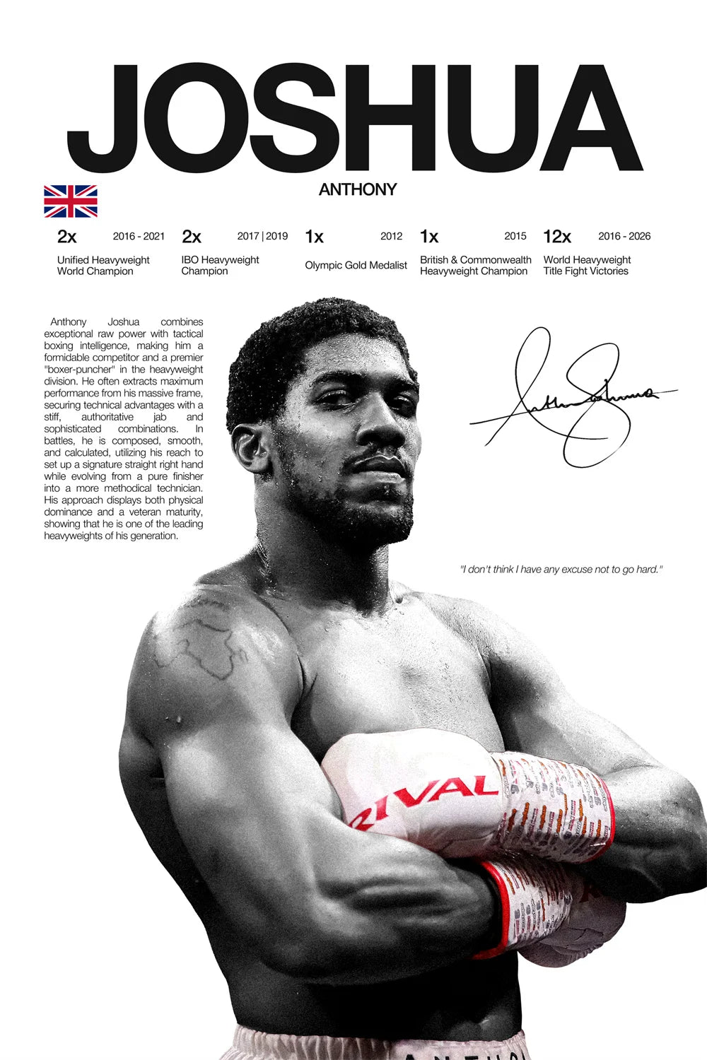 Modern Art Famous Boxing Legend Fighting Posters, UFC Inspirational Khablb Nurmagomedov Canvas Murals, Gym and Home Decorations