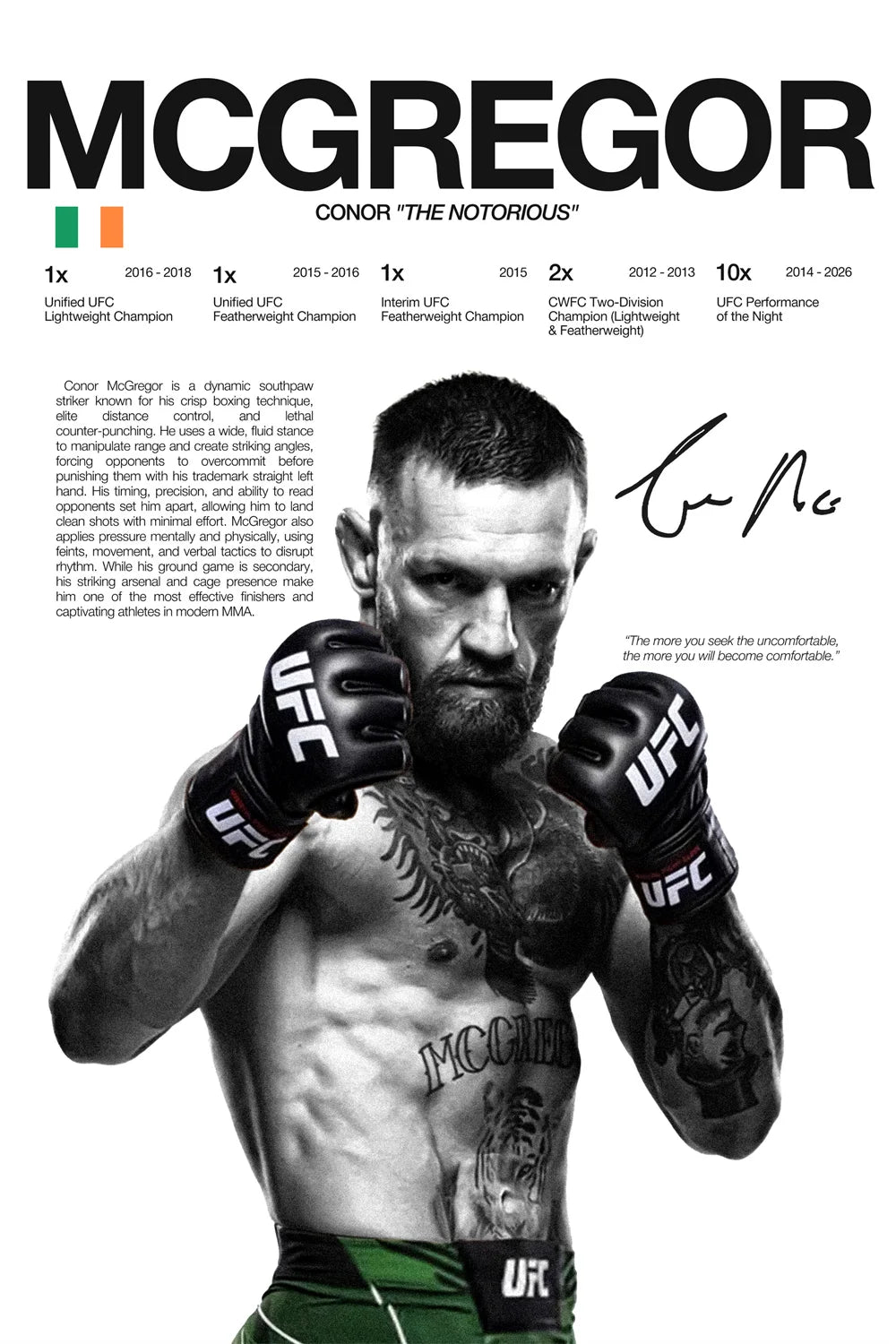Modern Art Famous Boxing Legend Fighting Posters, UFC Inspirational Khablb Nurmagomedov Canvas Murals, Gym and Home Decorations