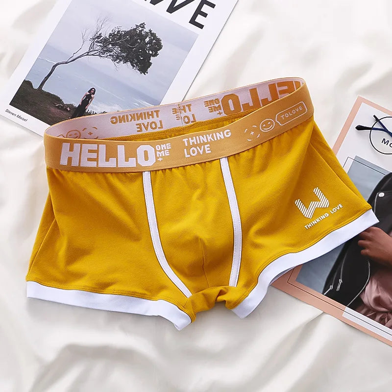 1Pcs Men Cotton Boxer Shorts Panties Underwear3 Colors L XL 2XL 3XL Soft Letter Belt Breathable Soft Fashion Sports