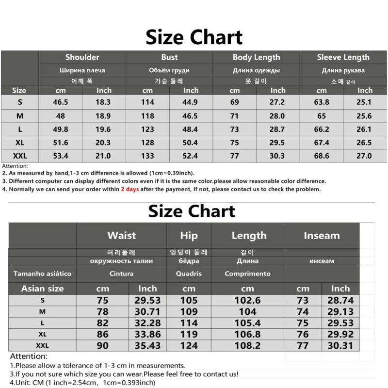 Men's Spring Autumn Track Suit 2 Piece Set Stand Collar Jacket with Pants Casual Sports Running Outfit Matching Athletic Wear