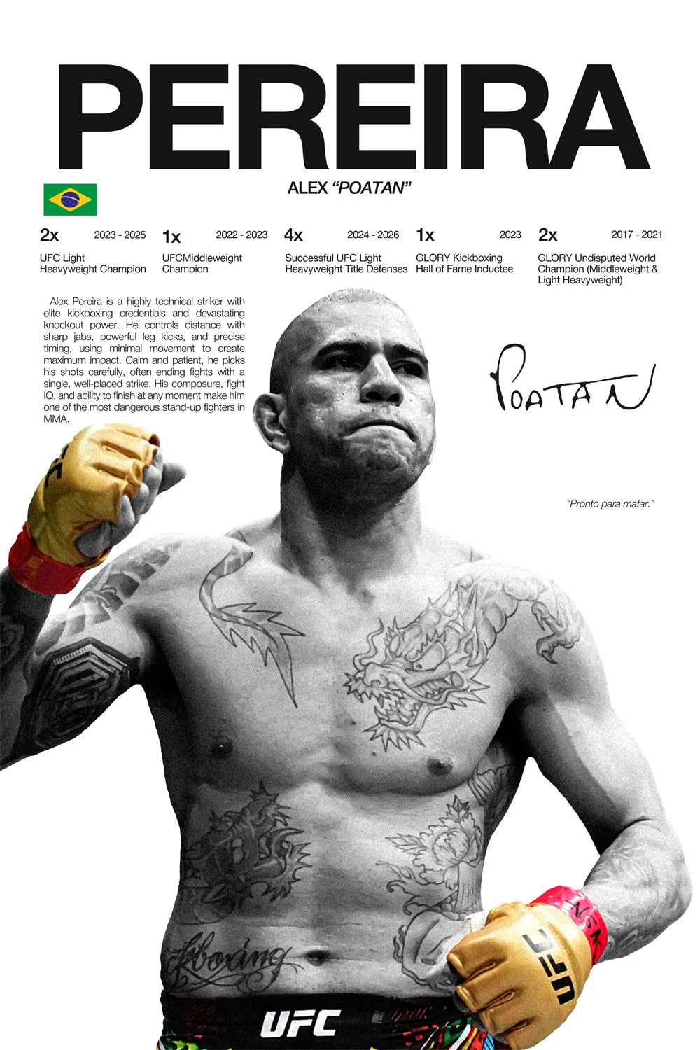 Modern Art Famous Boxing Legend Fighting Posters, UFC Inspirational Khablb Nurmagomedov Canvas Murals, Gym and Home Decorations