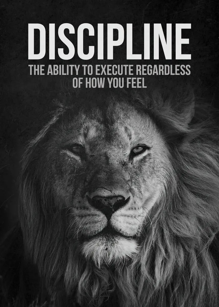 Motivational Quotes Success Canvas Poster Lion Mindset Is Everything Poster Wall Art Print Painting Office Living Room Decor
