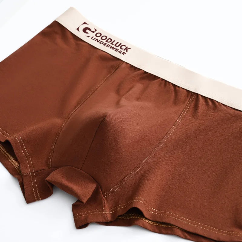 Panties Men Breathable Boxer Shorts Sexy Men Unerderwear Sports Boxer Man Sporty Boxers Men's Square Panties Briefs Cotton Gift