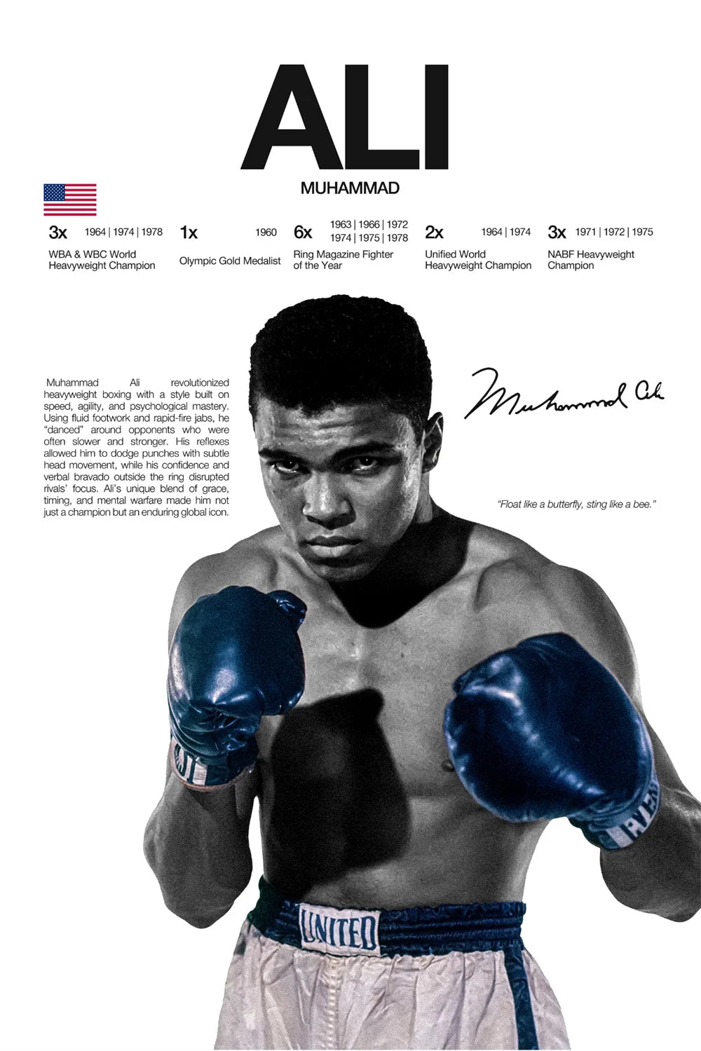 Modern Art Famous Boxing Legend Fighting Posters, UFC Inspirational Khablb Nurmagomedov Canvas Murals, Gym and Home Decorations