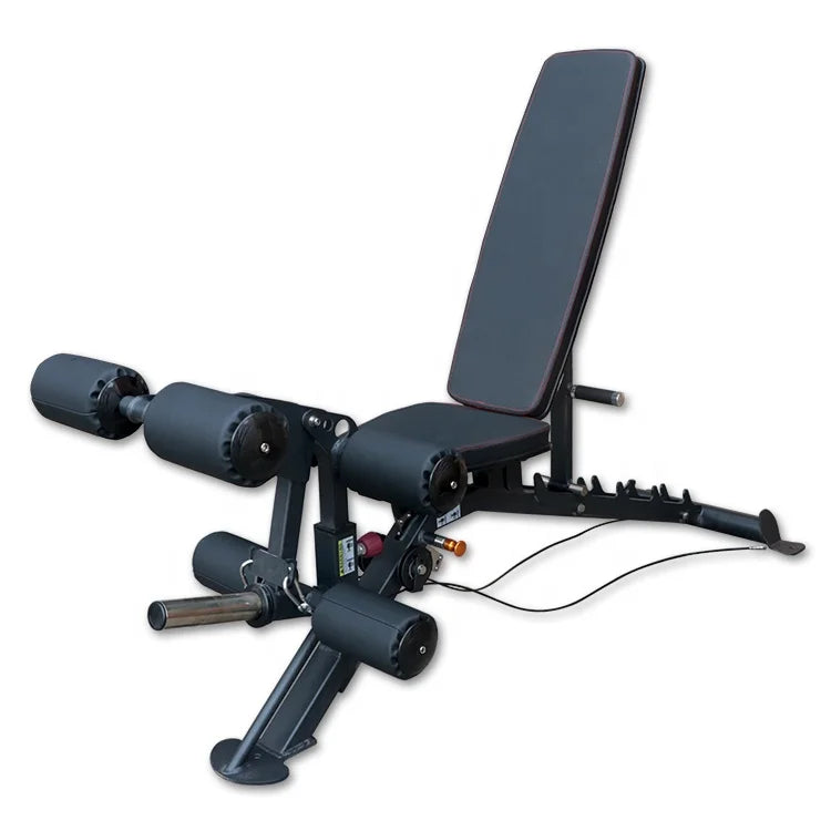 Commercial Exercise Trainer Gym Weight Bench Leg Curl Weight Bench Multifunction Adjustable Workout Black CE Unisex Nordic Bench