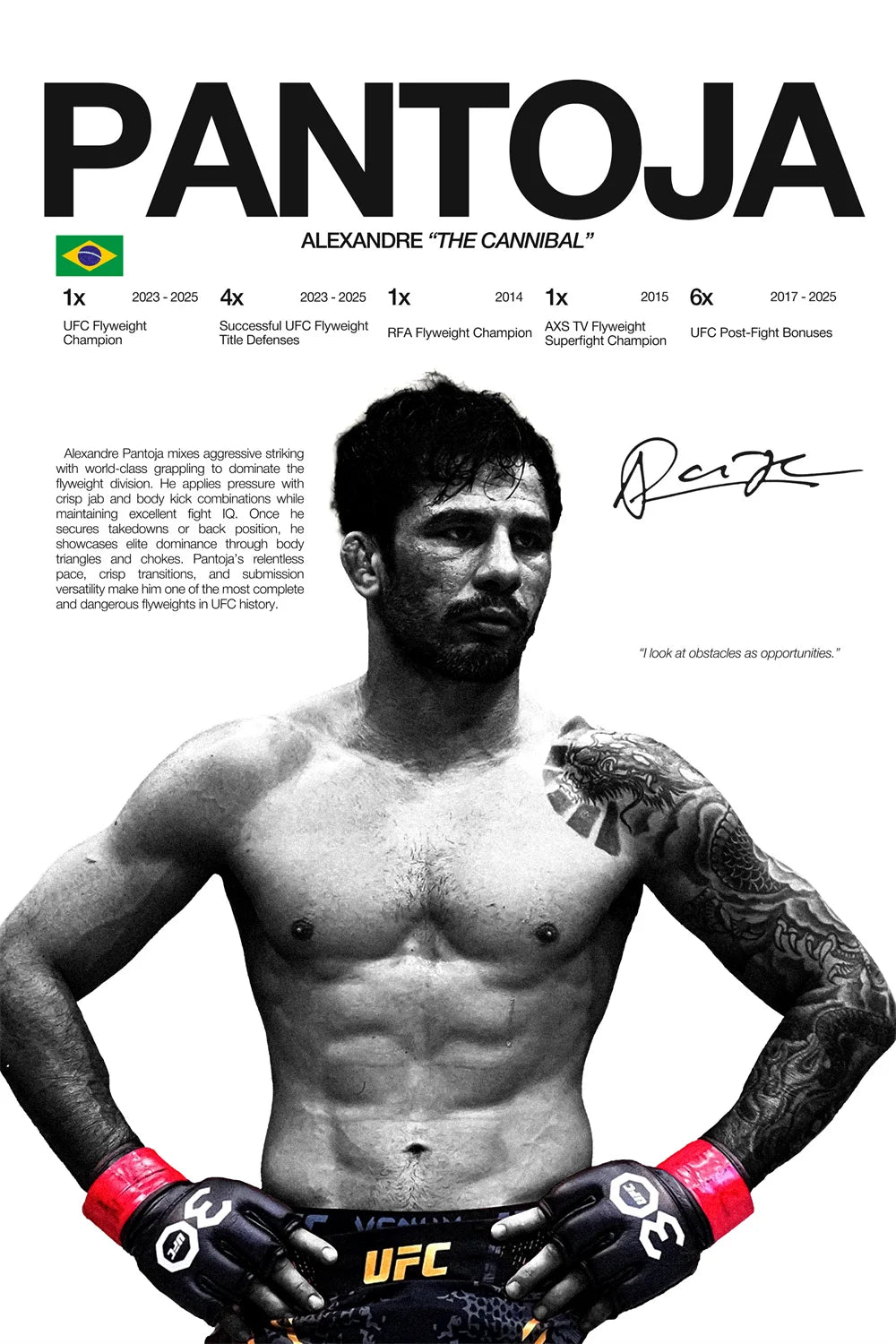 Modern Art Famous Boxing Legend Fighting Posters, UFC Inspirational Khablb Nurmagomedov Canvas Murals, Gym and Home Decorations