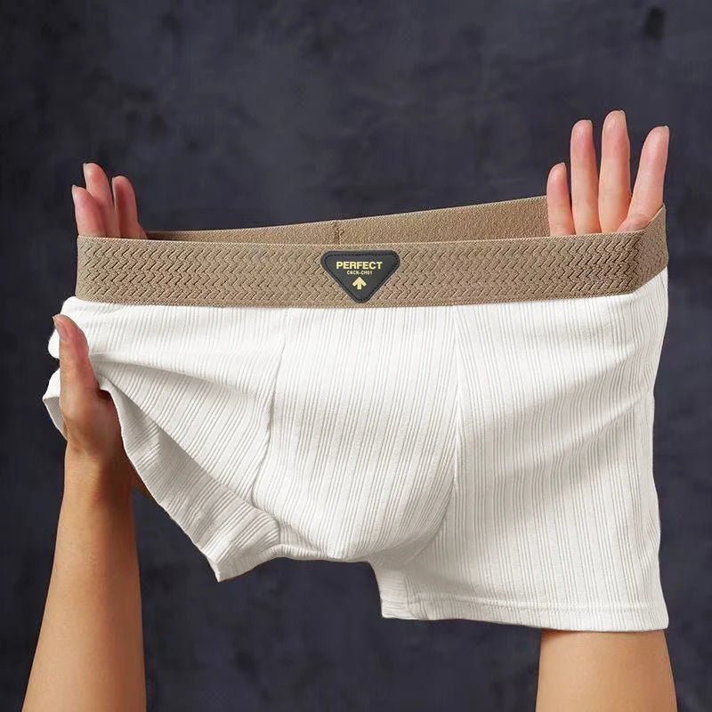 1/4pcs Pack Men Panties Cotton Underwear High Stretch Boxer Shorts Fashionable Sexy Men Underpant Plus Size L-4XL Breathable Men