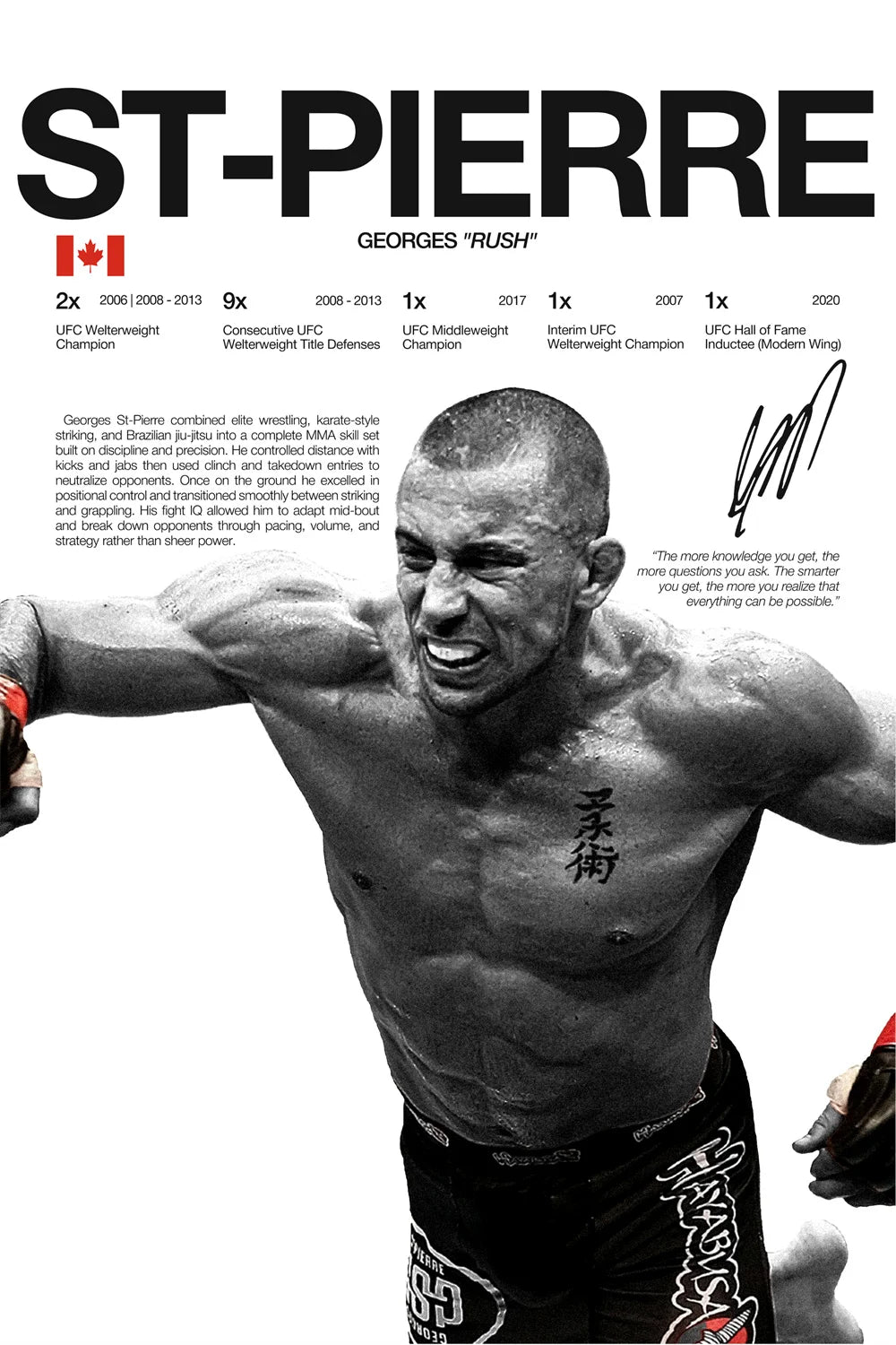 Modern Art Famous Boxing Legend Fighting Posters, UFC Inspirational Khablb Nurmagomedov Canvas Murals, Gym and Home Decorations