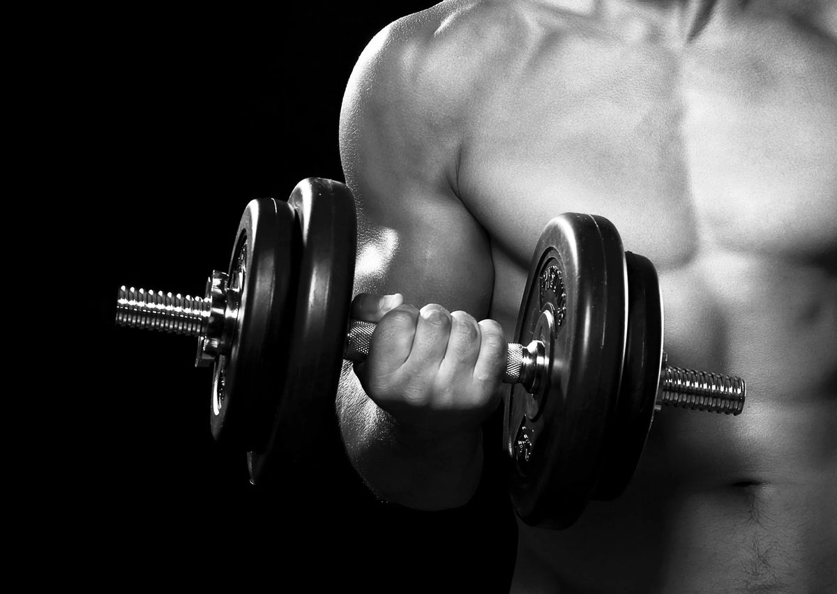 Gym Dumbbells Barbell Canvas Painting Print Fitness Studio Poster Motivational Wall Art Picture for Living Room Home Decor